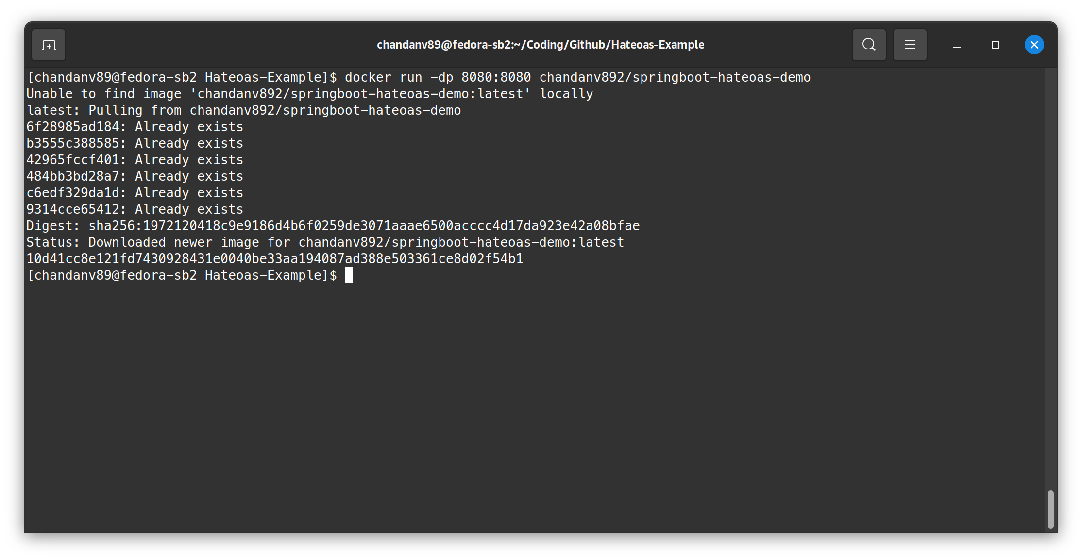 Running the docker image locally